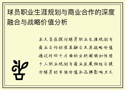 球员职业生涯规划与商业合作的深度融合与战略价值分析